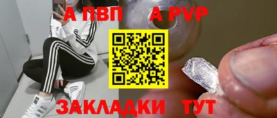 стаф Донской