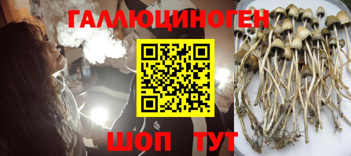 Галлюциногенные грибы Cubensis  Вход с VPN  наркота  Муром 